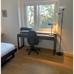 Rent 2 bedroom apartment in Basel