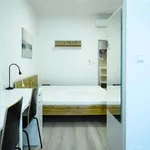 Rent 1 bedroom apartment in Brno