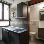 Rent 1 bedroom apartment of 20 m² in Turin