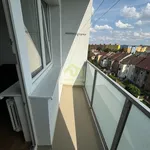 Rent 2 bedroom apartment in Plzeň