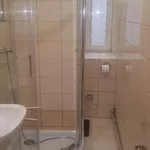 Rent 1 bedroom apartment of 30 m² in Gliwice