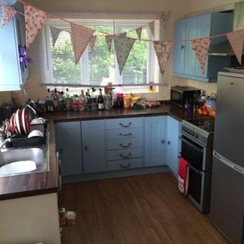 Semi-detached house to rent in Old Heath Road, Colchester CO1