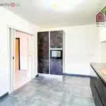 Rent 3 bedroom apartment of 66 m² in Ústí nad Labem