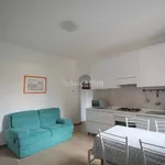 Rent 2 bedroom apartment of 50 m² in Lecco