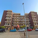 Rent 2 bedroom apartment of 45 m² in Nettuno