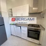 Rent 4 bedroom apartment of 67 m² in Roma