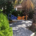 Rent 3 bedroom house of 280 m² in Φραγκοκκλησιά