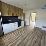 Pronájem bytu 2+1 55m²