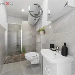 Rent 3 bedroom apartment of 71 m² in Brno-sever