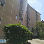 Rent 3 bedroom apartment of 80 m² in Turin