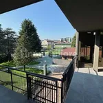 Rent 1 bedroom apartment of 30 m² in Turin