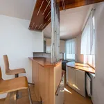 Rent 4 bedroom apartment of 146 m² in Prague