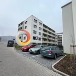 Pronajměte si 1 ložnic/e byt o rozloze 27 m² v Pardubice