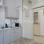 Rent 2 bedroom apartment of 135 m² in Zagreb