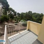 Affitto 2 camera appartamento di 75 m² in Cagliari