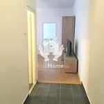 Rent 2 bedroom apartment of 53 m² in Debrecen