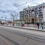 Pronajměte si 3 ložnic/e byt o rozloze 171 m² v Prague