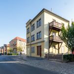 Rent 1 bedroom apartment of 35 m² in Dresden