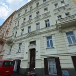 Rent 3 bedroom apartment in Praha 3