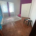 Rent 3 bedroom apartment of 75 m² in Turin