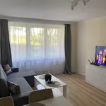 Rent 2 bedroom apartment of 37 m² in Gliwice