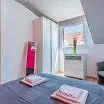 Rent 1 bedroom apartment in Coimbra