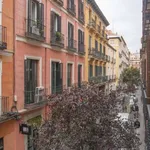 Rent 3 bedroom apartment of 100 m² in madrid