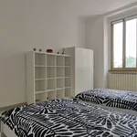 Rent 1 bedroom apartment in milan