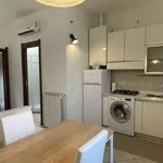 Rent 1 bedroom apartment of 45 m² in milan