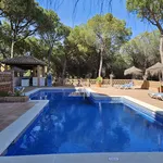 Rent 2 bedroom apartment of 105 m² in Nueva Andalucía