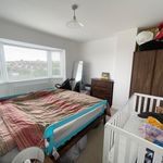 Rent 3 bedroom house in Brighton