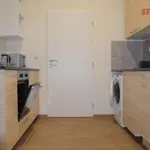 Rent 1 bedroom apartment of 20 m² in Prague