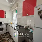 Rent 3 bedroom apartment of 45 m² in Pisa