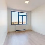 Rent 1 bedroom apartment in Queens