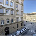 Rent 1 bedroom apartment of 30 m² in Firenze