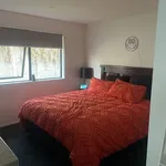 Rent 2 bedroom house in Tauranga