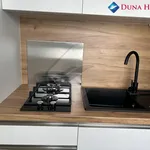 Rent 1 bedroom apartment in Prague