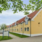 Rent 1 bedroom house of 36 m² in Struer