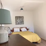 Rent 2 bedroom apartment in Mazamet