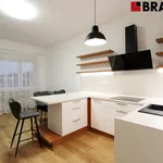 Rent 3 bedroom apartment of 76 m² in Brno