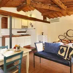 Rent 1 bedroom apartment of 35 m² in Florence