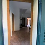 Rent 2 bedroom apartment of 45 m² in Florence