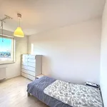 Rent 3 bedroom apartment of 63 m² in Rzeszów