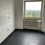 Rent 4 bedroom apartment of 75 m² in Siegen