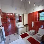 Rent 1 bedroom house of 55 m² in Prague