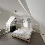 Rent 3 bedroom apartment of 126 m² in Prague