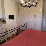 Rent 1 bedroom apartment in The Hague