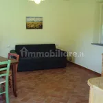 Rent 2 bedroom house of 62 m² in Lucca