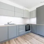 Pronajměte si 2 ložnic/e byt o rozloze 54 m² v Capital City of Prague