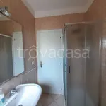 Rent 3 bedroom apartment of 75 m² in Manfredonia